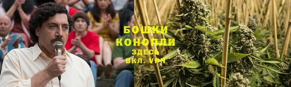 амфетамин Белокуриха
