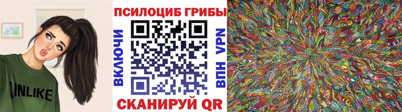 Псилоцибиновые грибы GOLDEN TEACHER  где продают наркотики  OMG как зайти  Кстово 