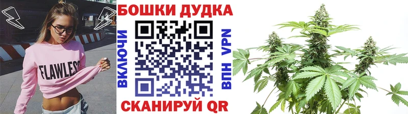 Бошки марихуана VHQ  Кстово 